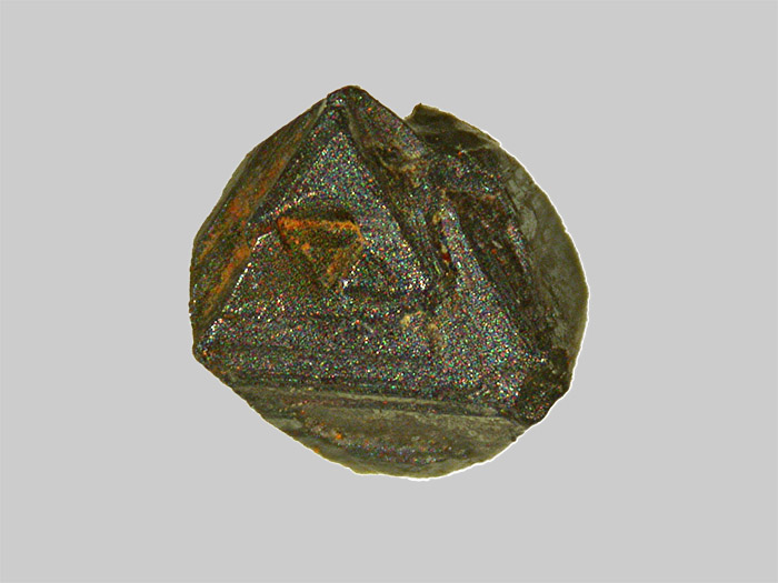 Magnétite - La Durance - Peyrolles-en-Provence - Bouches-du-Rhône - FP - Taille 1,8mm.jpg