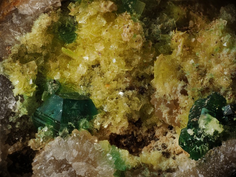 torbernite autunite bigay lachaux puy de dome ch2.6mm.jpg