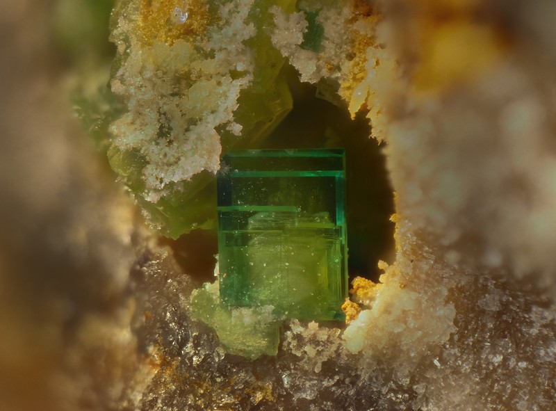 autunite torbernite bigay Lachaux Puy de dome  ch1.6mm.jpg