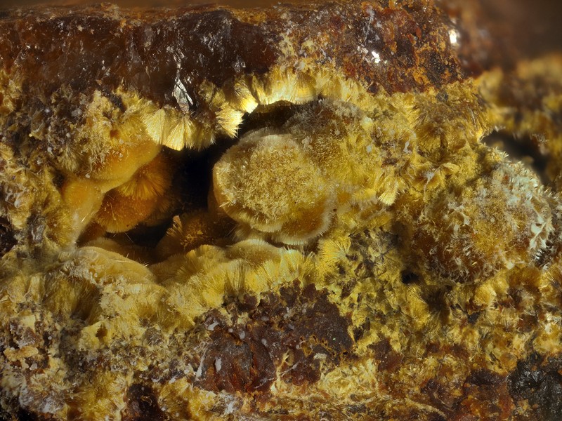 cacoxenite puech de le leguo la Capelle Bleys Aveyron ch2.6mm.jpg