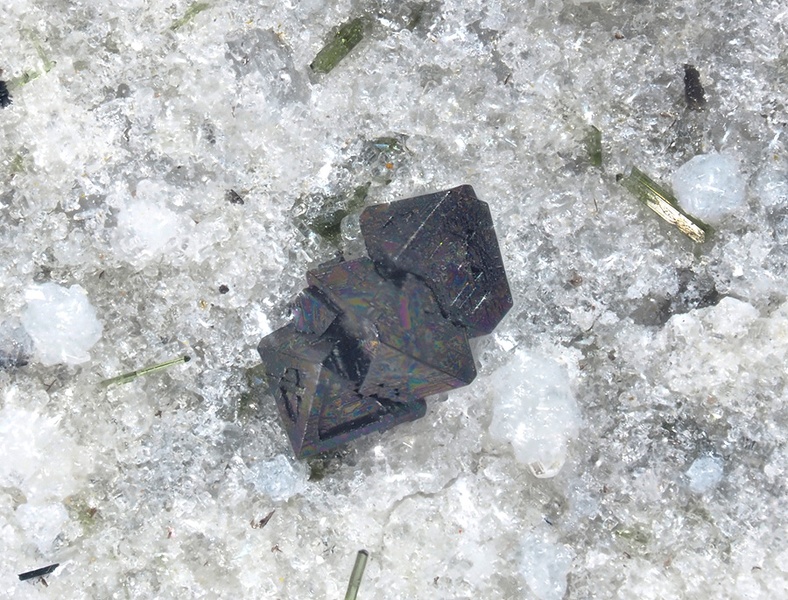 Magnétite - Ravin des Chomets - Mont-Dore - Puy de Dôme champ 1.jpg