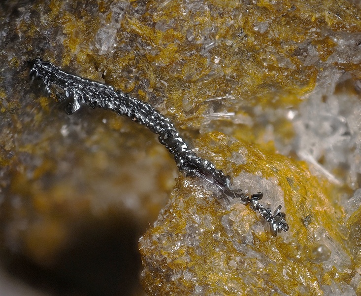 Hématite - Carrière des Châtelaunoux - Mazaye - Puy de Dôme champ 1,8.jpg