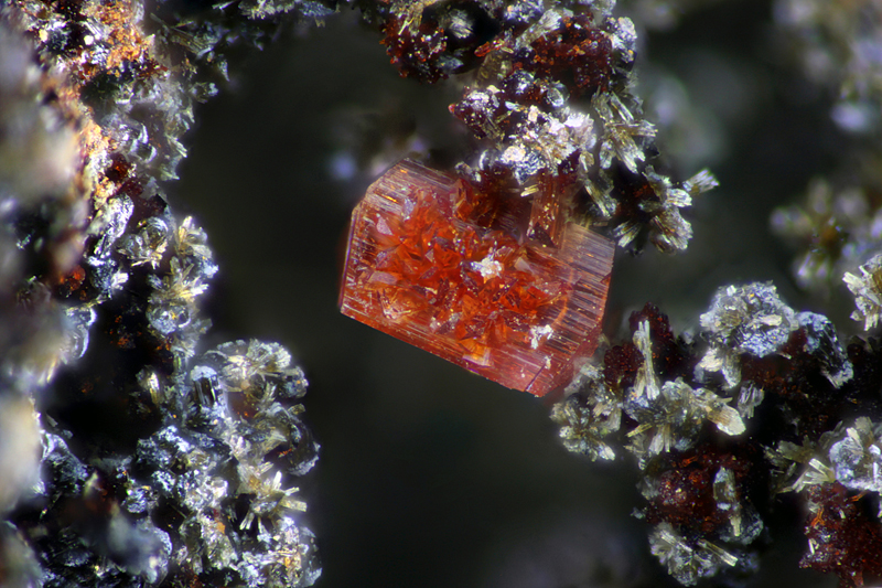 Eleonorite - Beraunite - Fumade - Fontrieu - Castres - Tarn -  SL - Champ 1,05mm.jpg