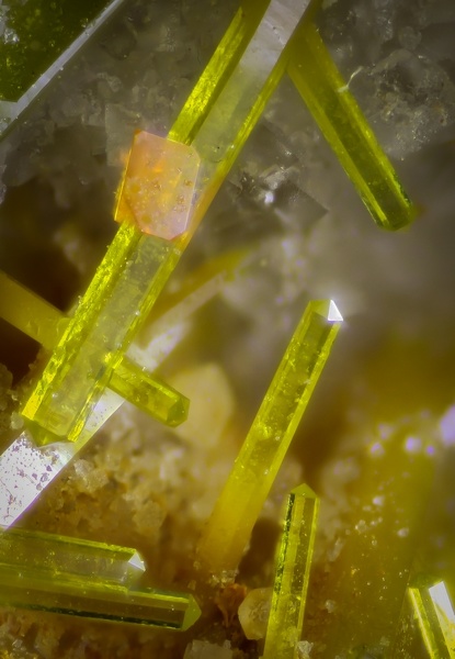 wulfenite-pyro morphite 36-22-3    c 0,3mm.jpg