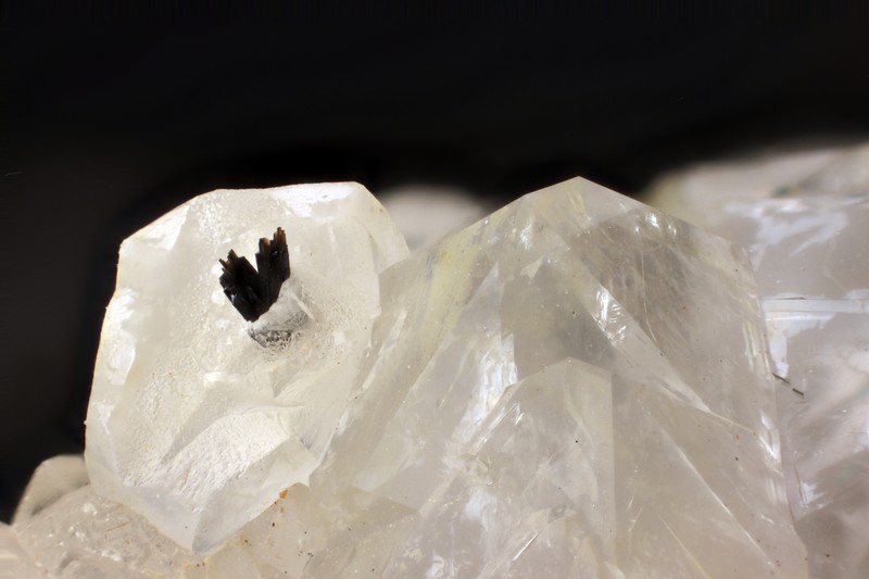 ENSMP_114005_Goethite_calcite-quartz_Port-en-Bessin_Calvados_champ8mm.jpg