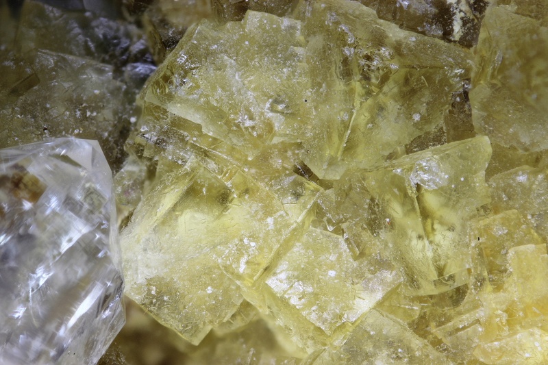 n°185008 - Fluorite - Rochers de la Mine - Jard-sur-Mer - Vendée