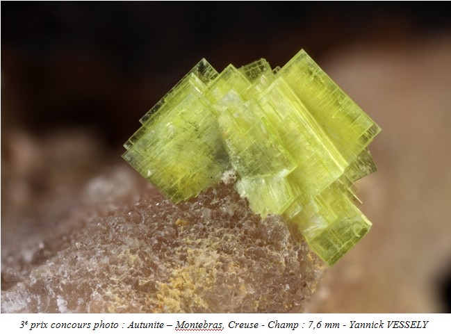 autunite1