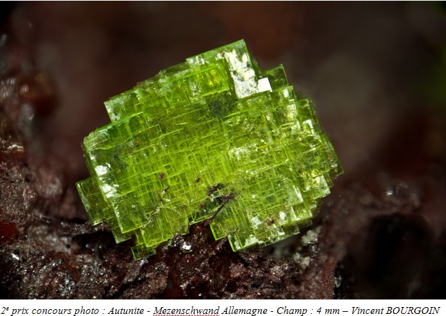 autunite4