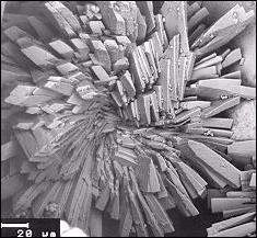 gilmarite1