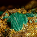 Chalcophyllite - Salsigne - Aude - JCC - Taiile du cristal 3 mm.jpg