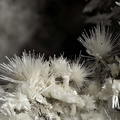 Picropharmacolite Sainfeldite  Guérinite - L'Eguisse - Duranus - Alpes-Maritimes