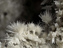 Picropharmacolite Sainfeldite  Guérinite - L'Eguisse - Duranus - Alpes-Maritimes