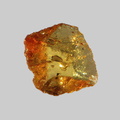 Titanite - Le Rioupéroux - Jollère - Perpezat - Puy-de-Dôme - FP - Taille 0,7mm