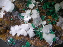 Aragonite Brochantite -  - Mine d'Arrigas - Arrigas -  Le Vigan - Gard