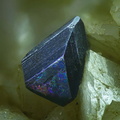 134069 Tetrahedrite Usclas de Bosc Herault fov 2.8 mm JPB.jpg