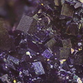 187055 Fluorite var Antozonite Mine Charbonnières Hte-Vienne fov 3 mm JPB.jpg