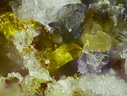 n°166068 - Phosphosiderite - Massif des Alberes - Collioure - Pyrénées-Orientales