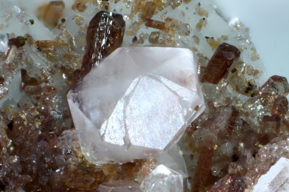 Calcite Allanite-(Ce) -  Trimouns - Ariège