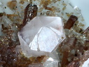 Calcite Allanite-(Ce) -  Trimouns - Ariège