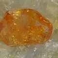 monazite-(Ce) 8976 champ 3mm.jpg