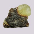 Olivine - l'Ailloux - Sugères - Puy-de-Dôme - FP - Taille 2mm