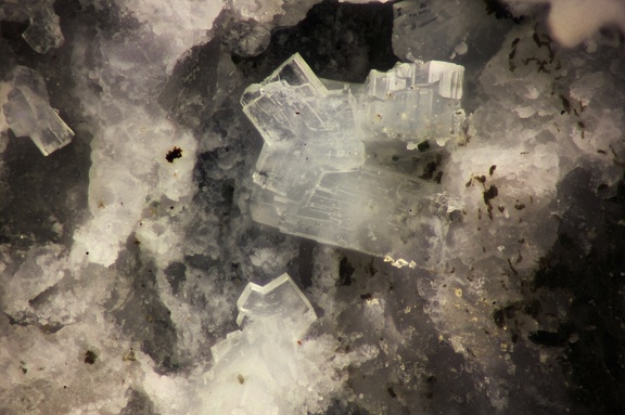 Bertrandite (macle de 3 cristaux) - Entre Deux Roches -  Massif de la Lauzière - Savoie