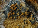 Dufrenite Bariopharmacosiderite - Les Montmins - Echassières - Allier
