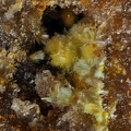 uranophane bigay lachaux puy de dome ch2.8mm.jpg