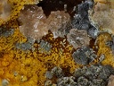 Leucophosphite Dufrenite Bariopharmacosiderite - Les Montmins - Echassières - Allier