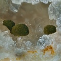 dufrenite quartz les montmins Echassieres Allier ch3.2mm.jpg