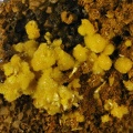 uranophane bigay Lachaux  Puy de dome  ch2mm.jpg