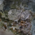 chabazite-Ca  la Mongie bagneres de biggorre  hautes pyrenees ch2mm.jpg