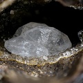 Phacolite - Chambeuil - Laveissière - Cantal champ 3,3.jpg