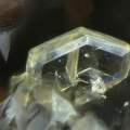 Iodargyrite-Le Bastit-Najac-Aveyron-JCD-champ 0,4mm.jpg