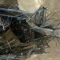 Stibnite Sphalerite - Bessade Mine - Mercoeur - Haute Loire - YM - Champ 2 mm.jpg