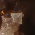 Senarmontite-Ouche-Massiac-Cantal-YM-Champ 1 mm.jpg