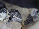 n°115083 - Wolframite Andalousite - Leucamp - Cantal