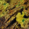 Phosphuranylite  Uranophane Torbernite - Chaméane - Le Vernet - Puy-de-Dôme