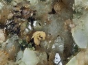 Monazite-(Ce) Allanite-(Ce) Clinochlore Oligoclase - Rocher du Bari - Mercus Gabarret - Ariège