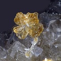  Hémimorphite Fluorite - Carrière de Birrity - Arbouet-Sussaute - Pyrénées-Atlantiques