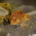  Hémimorphite Fluorite Calcite - Carrière de Birrity - Arbouet-Sussaute - Pyrénées-Atlantiques