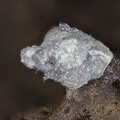 Opale (var. hyalite) - Puy de la Plate - Puy-de-Dôme