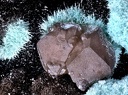 Cerusite Aurichalcite Hemimorphite - La Vidale mine - Asprières - Villefranche-de-Rouergue - Aveyron 