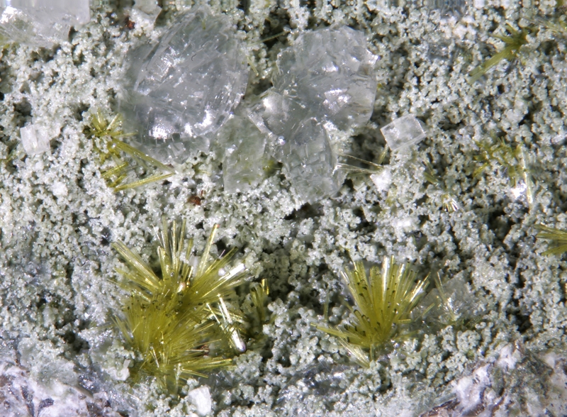 Epidote Prehnite - Bras de Cilaos - La Réunion