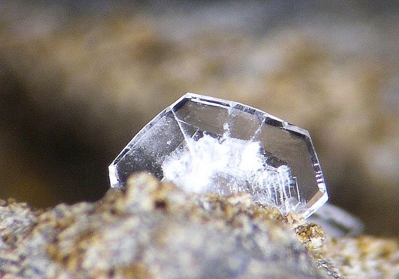 Levyne  Cristal 2mm (AM).jpg