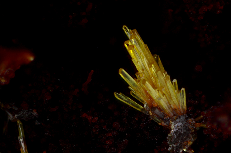 Uranophane béta - Etang de Reliez - Lachaux - Puy de Dôme
