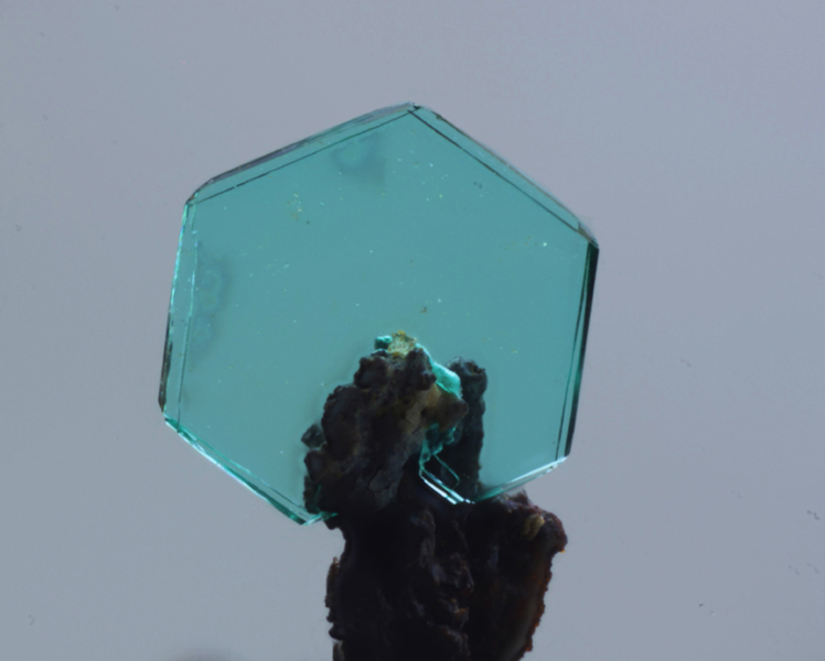 Chalcophyllite - Malabau mine - Salsigne - Aude - GB - champ 1,3mm.jpg