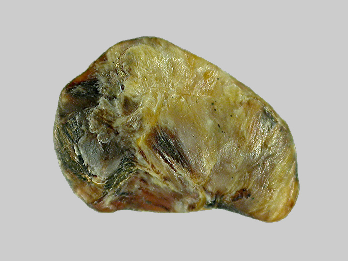 Sillimanite - L’Allier - Neuvy - Allier - FP - Taille 5mm.jpg