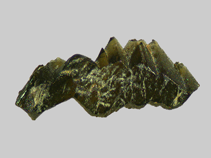 Augite aciculaire - L_Ander - Roffiac - Cantal - FP - Taille 2,5mm.jpg