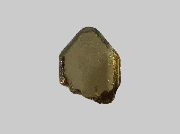 Enstatite-Ferrosilite (Série) - La Loire - Gien - Loiret - FP - Taille 0,4mm.jpg